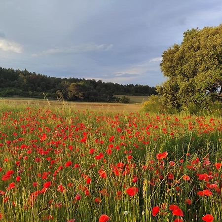 Gite A La Campagne, Proche Carcassonne Alairac Eksteriør billede
